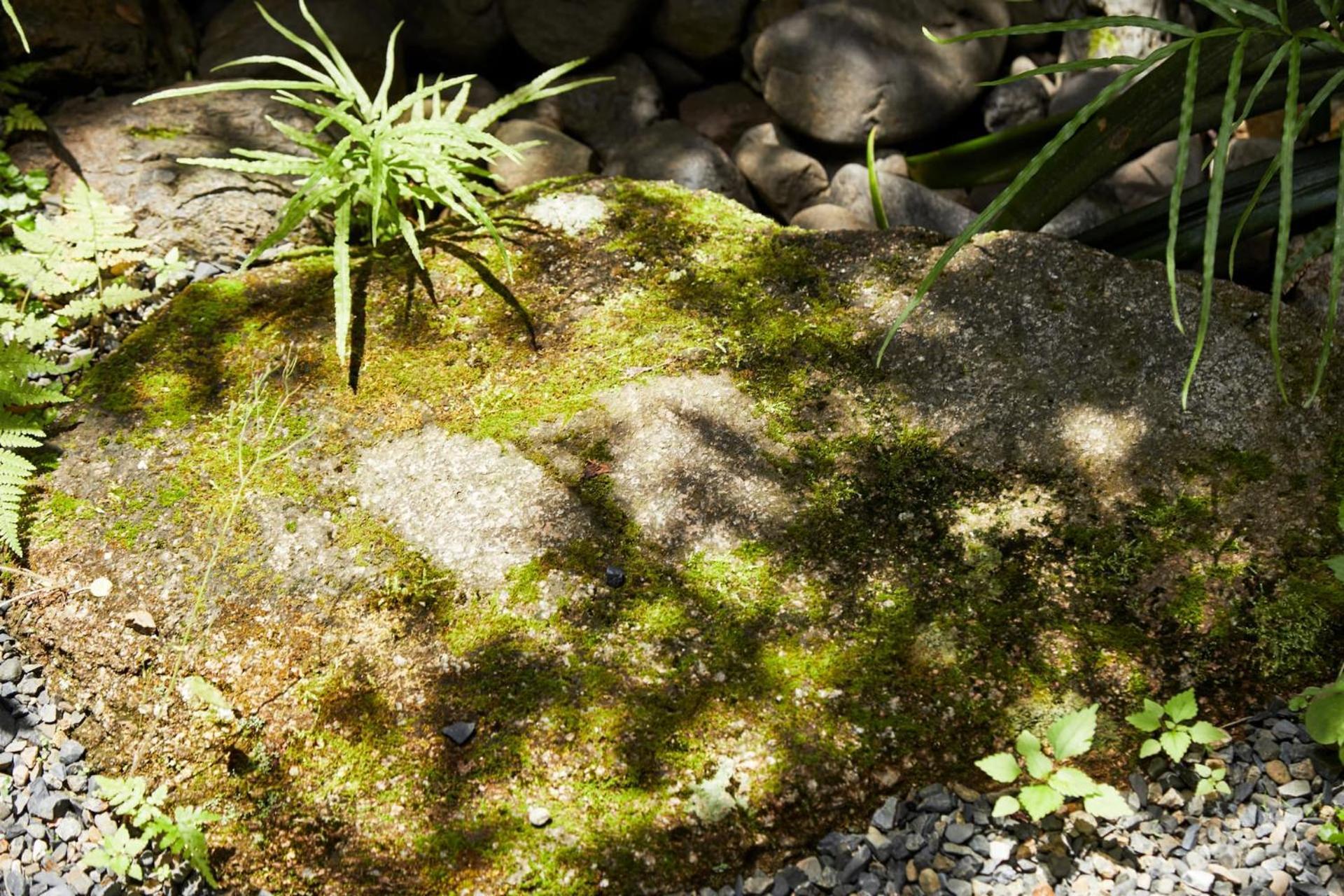 Tachibana An Villa Kyoto Dış mekan fotoğraf